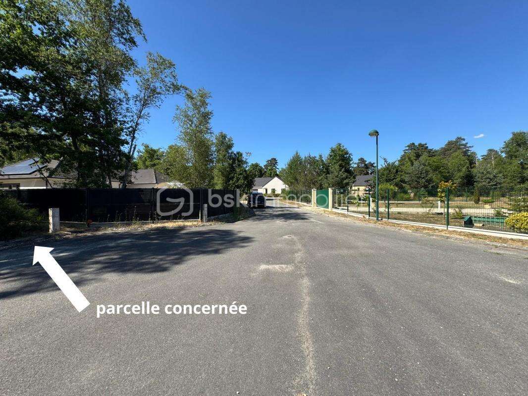 Terrain de 1646 m² - photo 6
