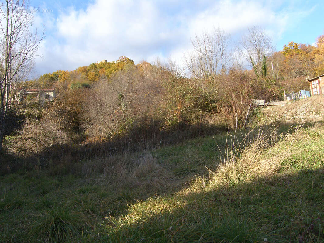Terrain à PRATS-DE-MOLLO-LA-PRESTE