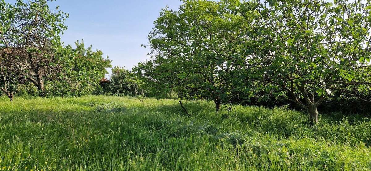 Terrain à MAUGUIO