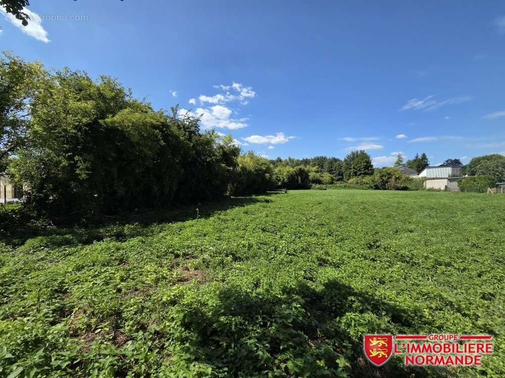Coeur de charleval / terrain a batir - photo 2