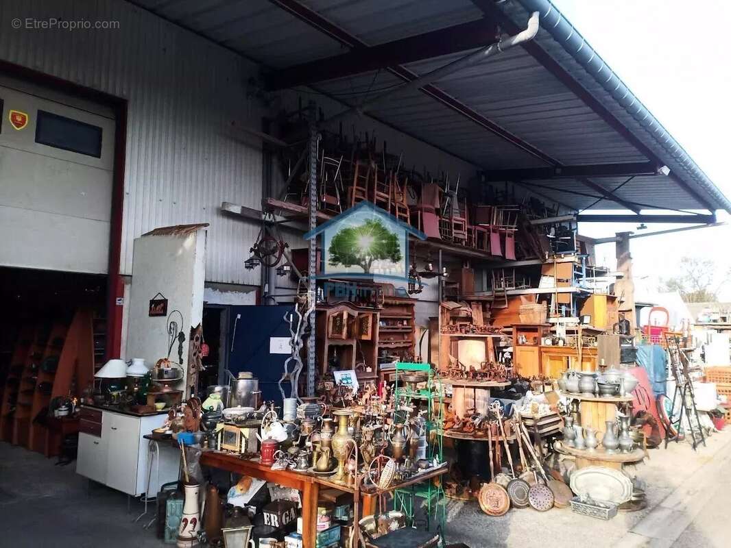 Commerce à SAINTE-SAVINE