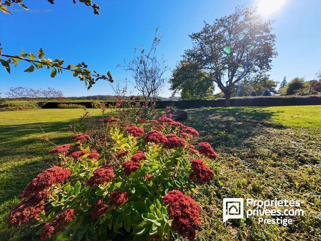 Maison à VERNOU-SUR-BRENNE