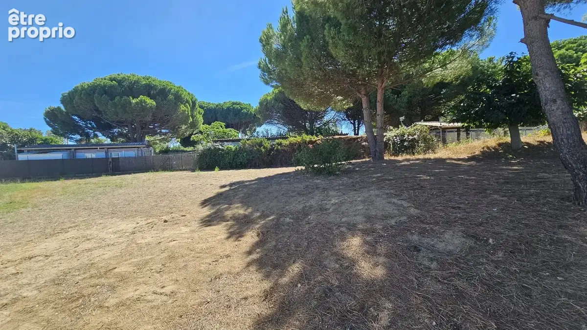 Terrain de loisirs arboré de 1 667 m²  un cadre idéal pour profiter en famille - photo 6