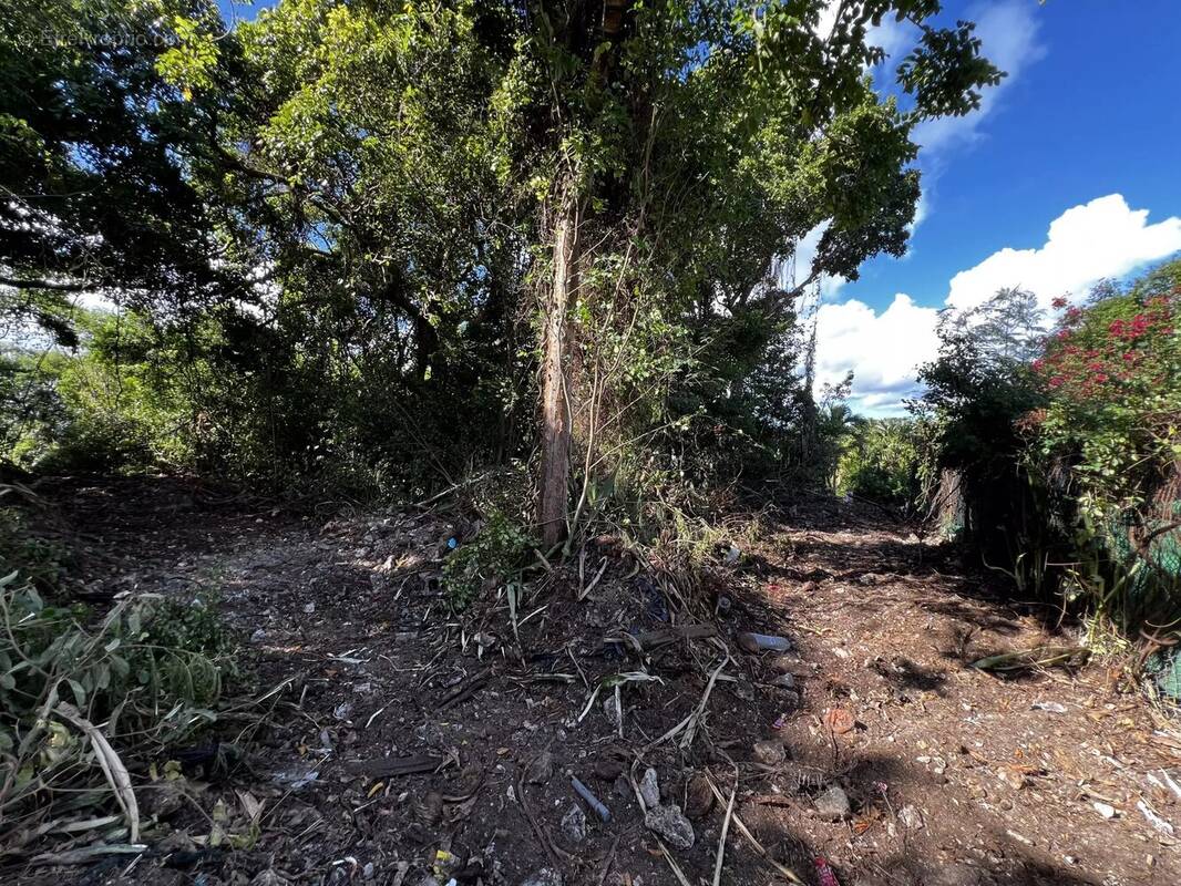 Terrain à SAINTE-ANNE