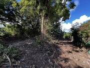Terrain à SAINTE-ANNE