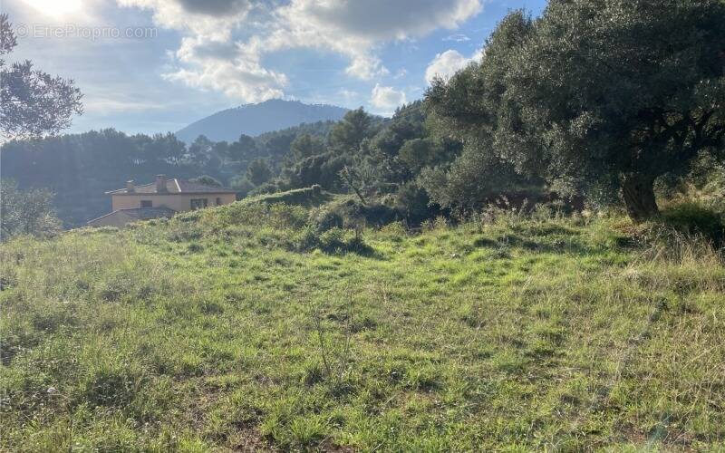Terrain à LA VALETTE-DU-VAR