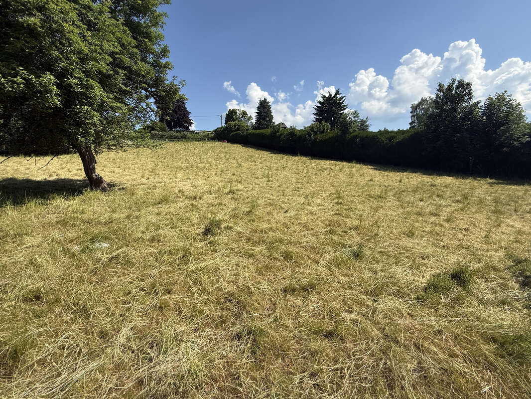 Terrain à CELLES-SUR-DUROLLE