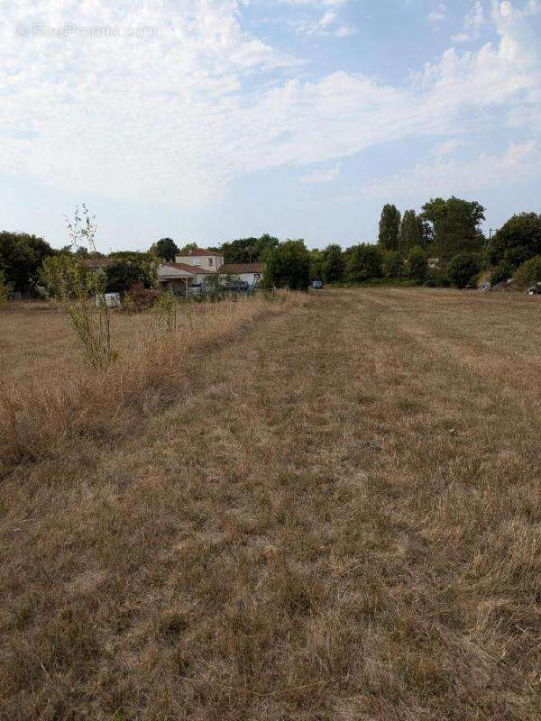 Terrain à SAINT-HILAIRE-LA-PALUD