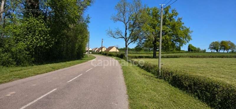 Terrain à SAINT-EMILAND