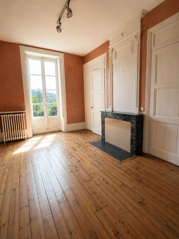 Château XVIIIᵉ   Projet de division en plusieurs logements   Parc 11 400 m2 - photo 8