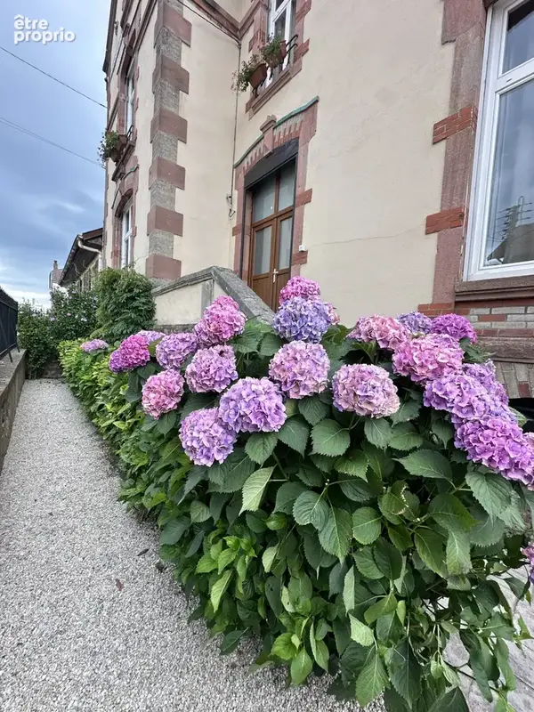 RAON-L’ÉTAPE   Maison de maître du début du XXe siècle   269 m2 - photo 32