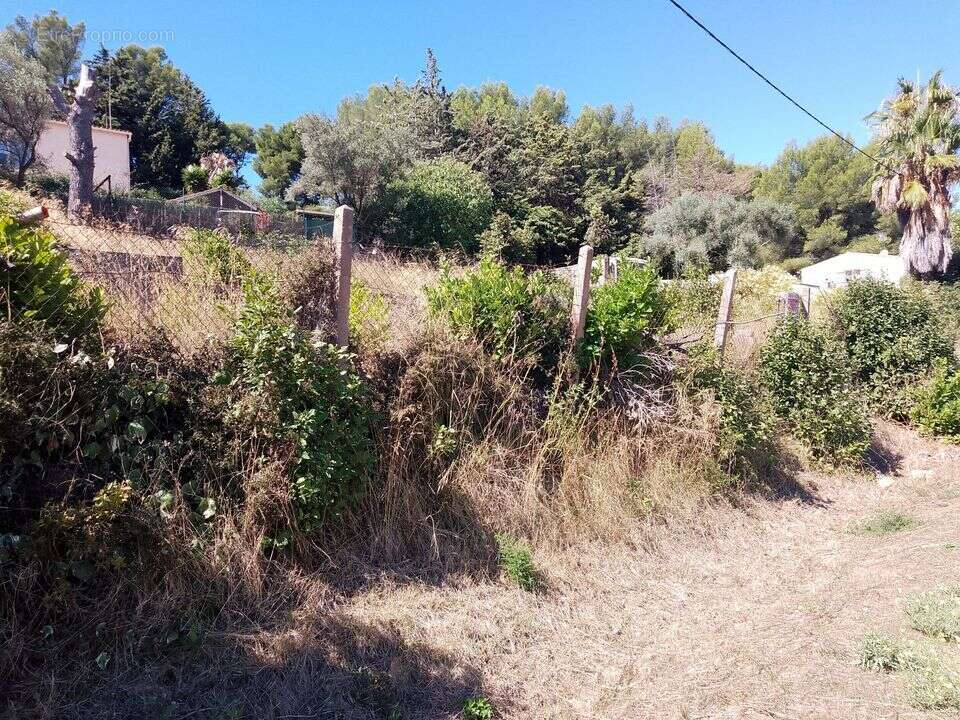 Terrain à SANARY-SUR-MER