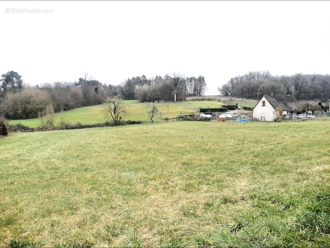 Terrain 5063 m² à Neuil  - photo 5