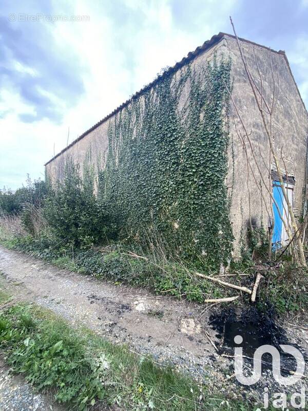 Photo 1 - Terrain à VERINES