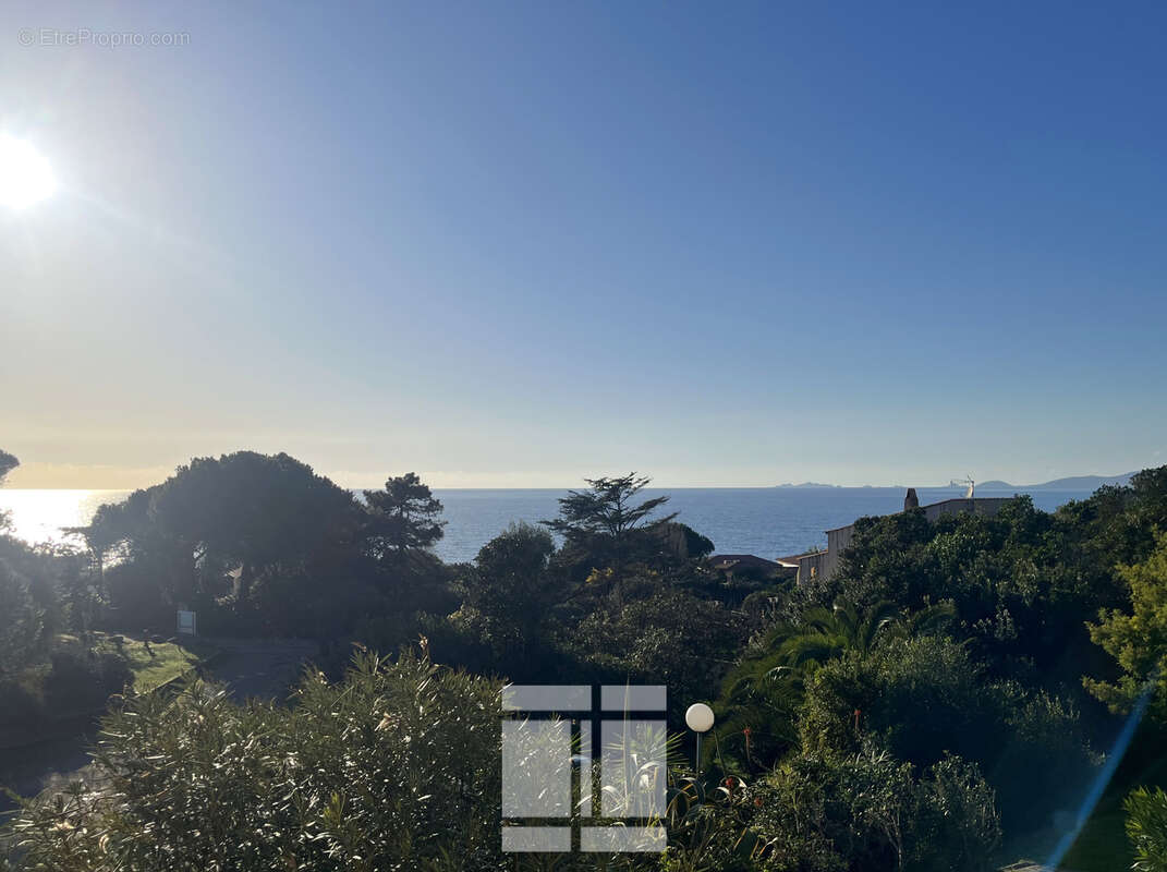 Appartement à PIETROSELLA