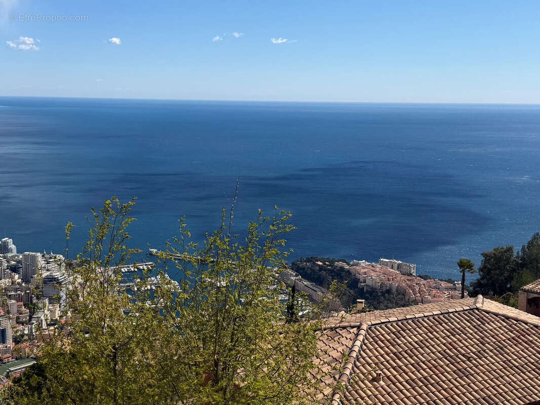 Haut de monte carlo - villa de 400m2 avec vue mer et monaco panoramique - photo 10