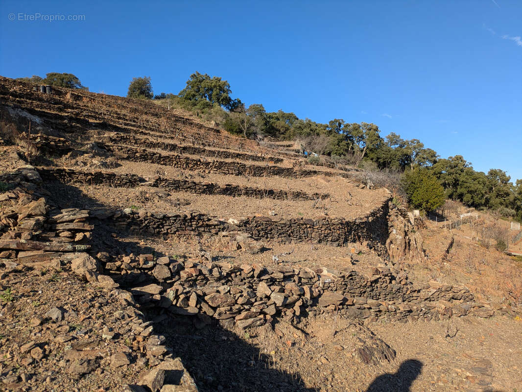 Terrain à COLLIOURE