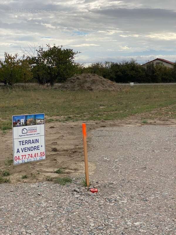 Terrain à CHAMPDIEU