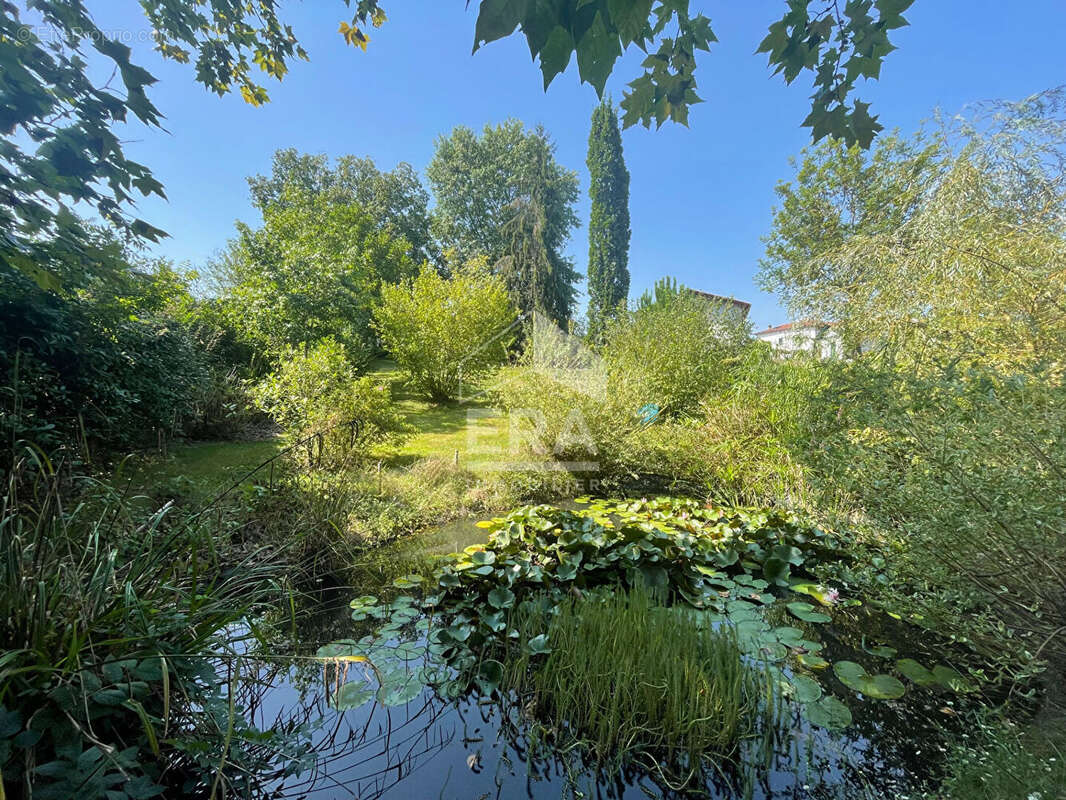 La Bastide Clairence - Vente terrain - photo 2