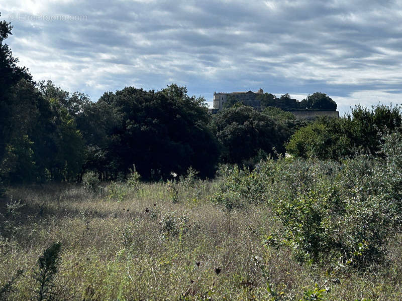 Terrain à GRIGNAN