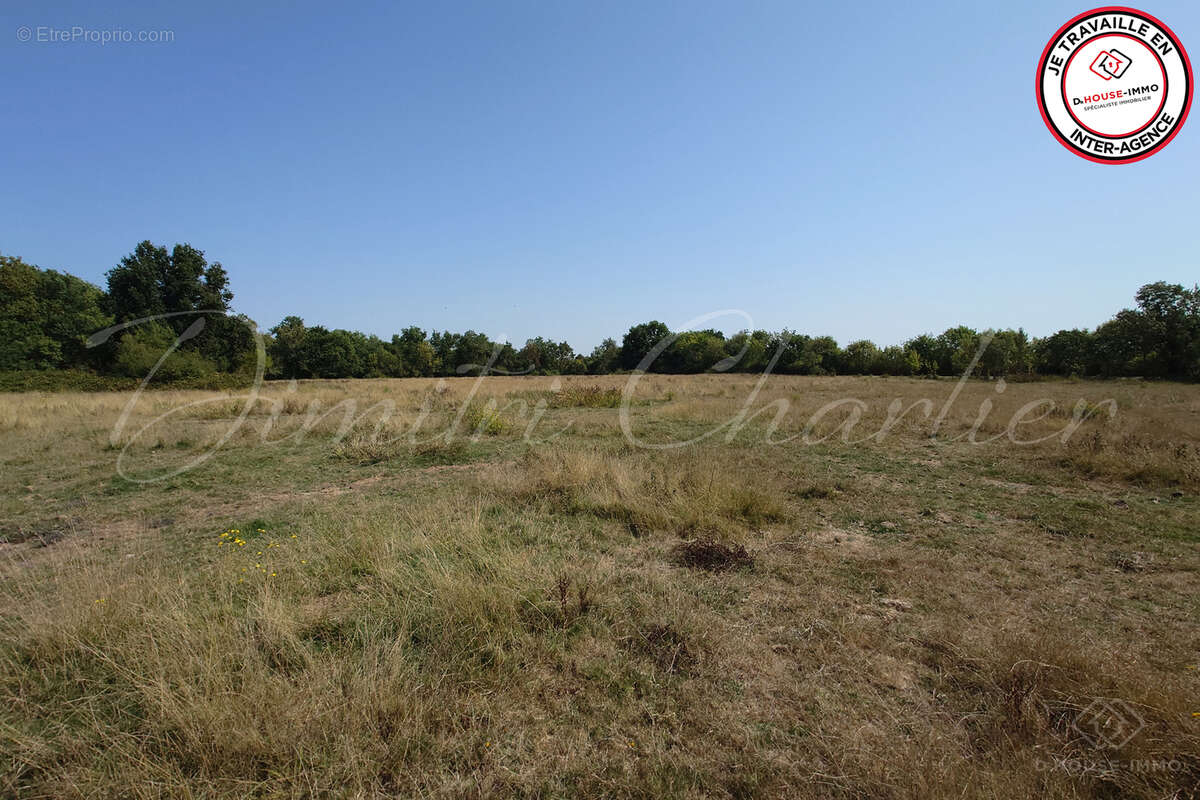 Terrain à SAINT-VIVIEN-DE-MEDOC