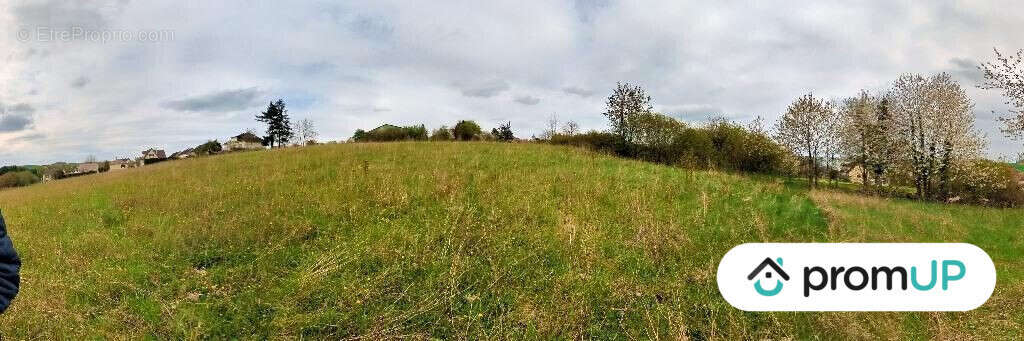 Terrain à MONTMIRAIL