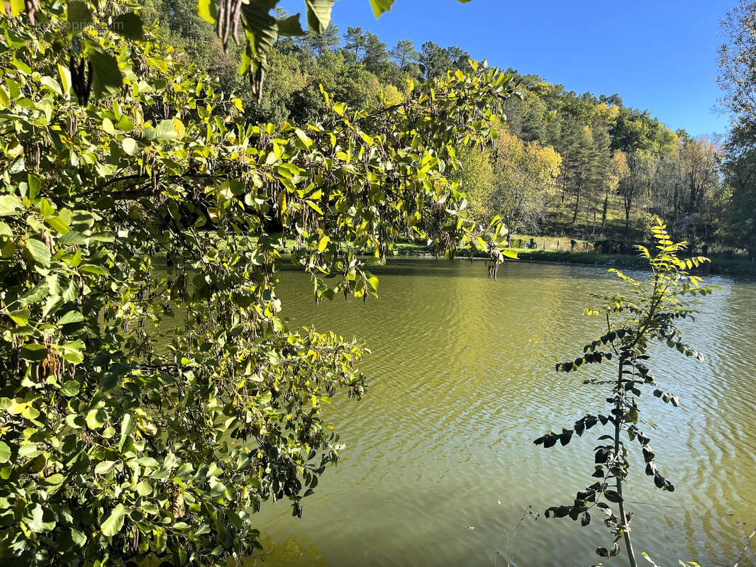 Terrain à VILLAMBLARD