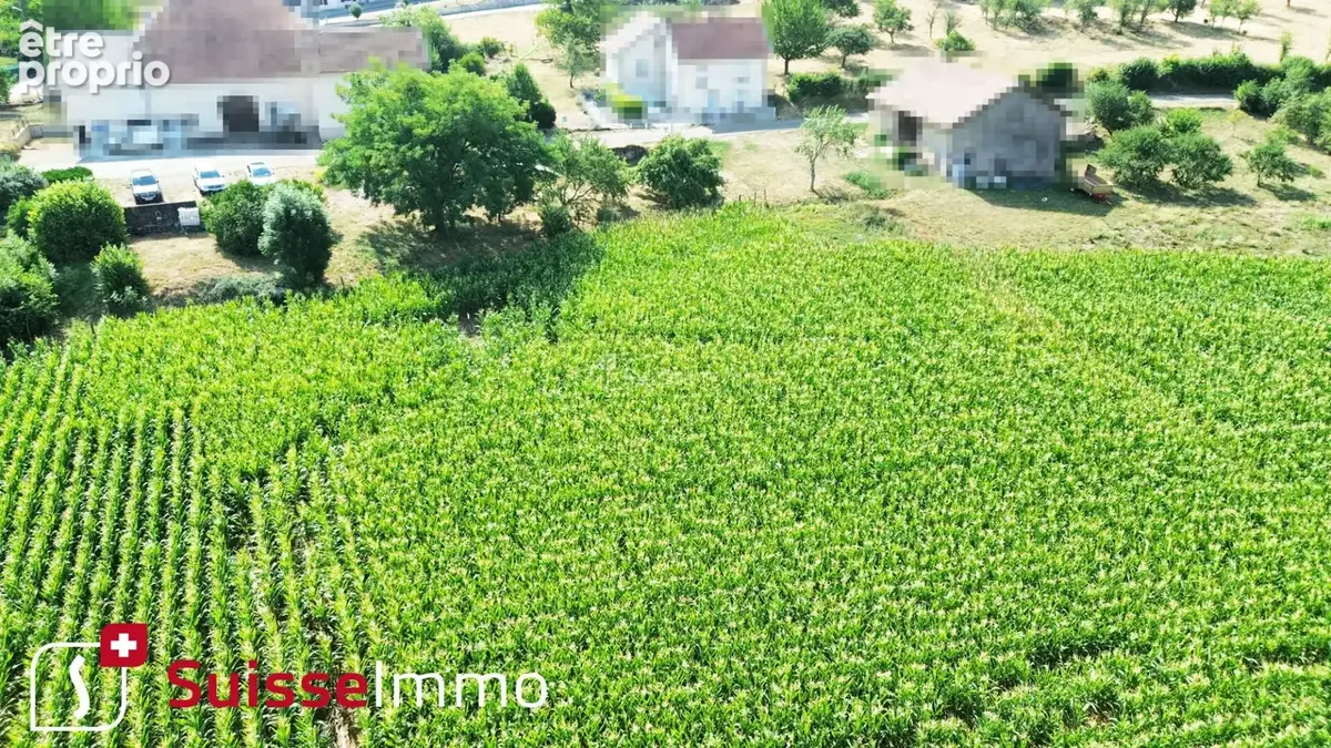 Terrain Bournois 2158 m2 - photo 2