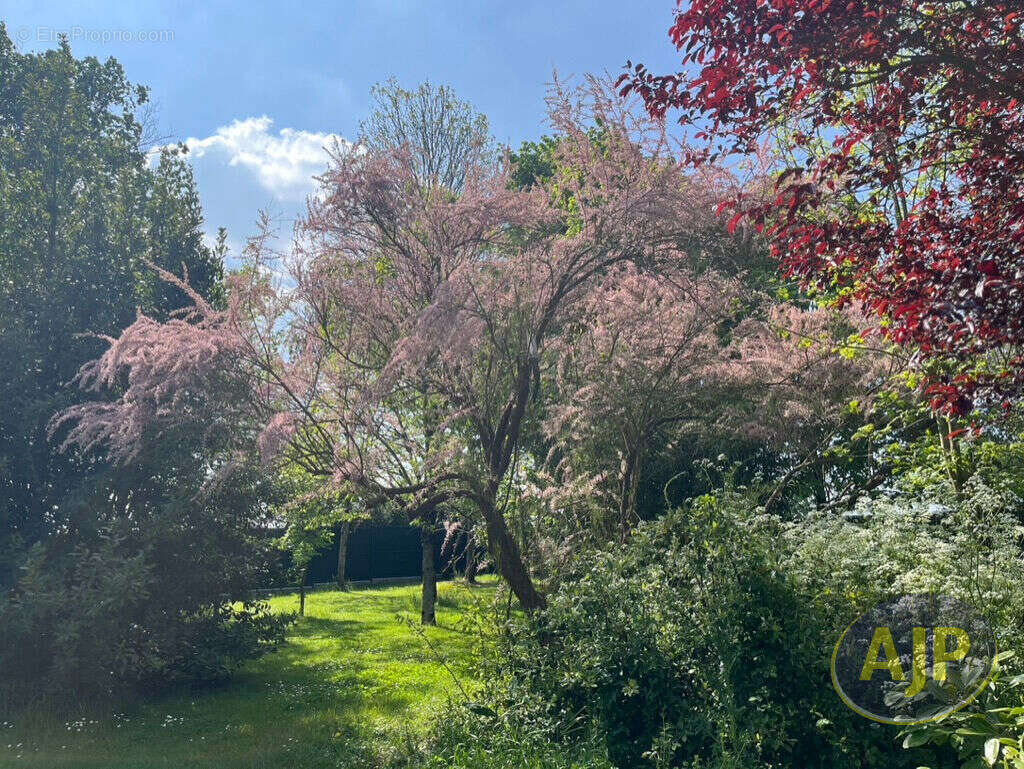 Maison à CHANTONNAY