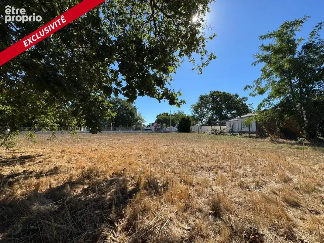 Dolus d'oleron - terrain à bâtir de 1058 m² – beau potentiel de construction - photo 4