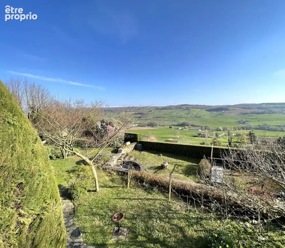 Maison 8 pièces 295 m² à vendre à Le Grand-Serre (26530) - photo 4
