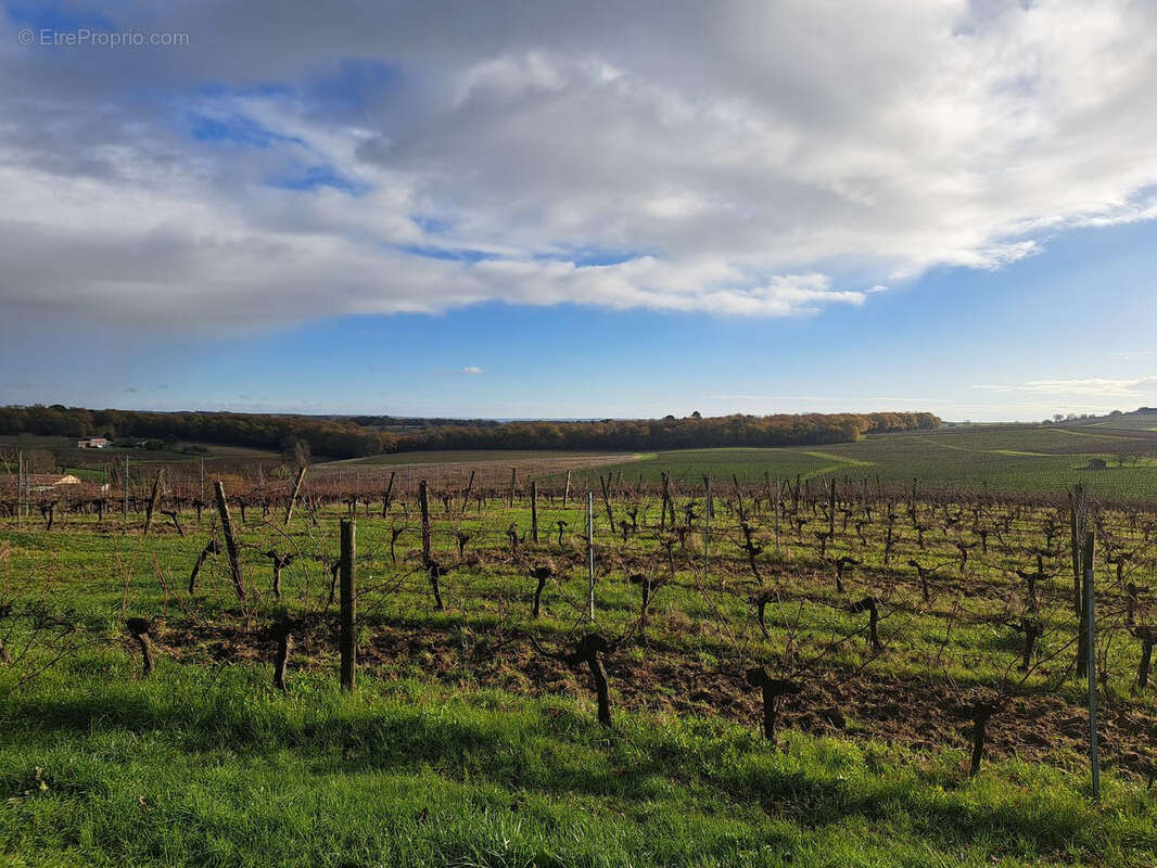 Parking à SAINT-MACAIRE
