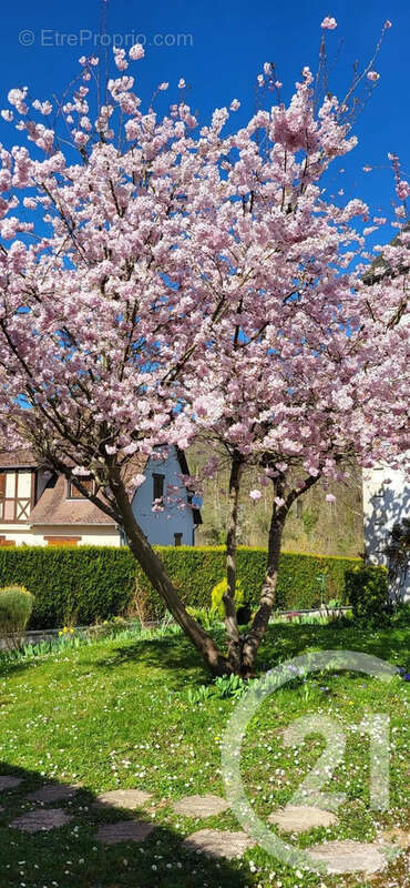 Maison 155 m² à Pacy-Sur-Eure  - photo 5