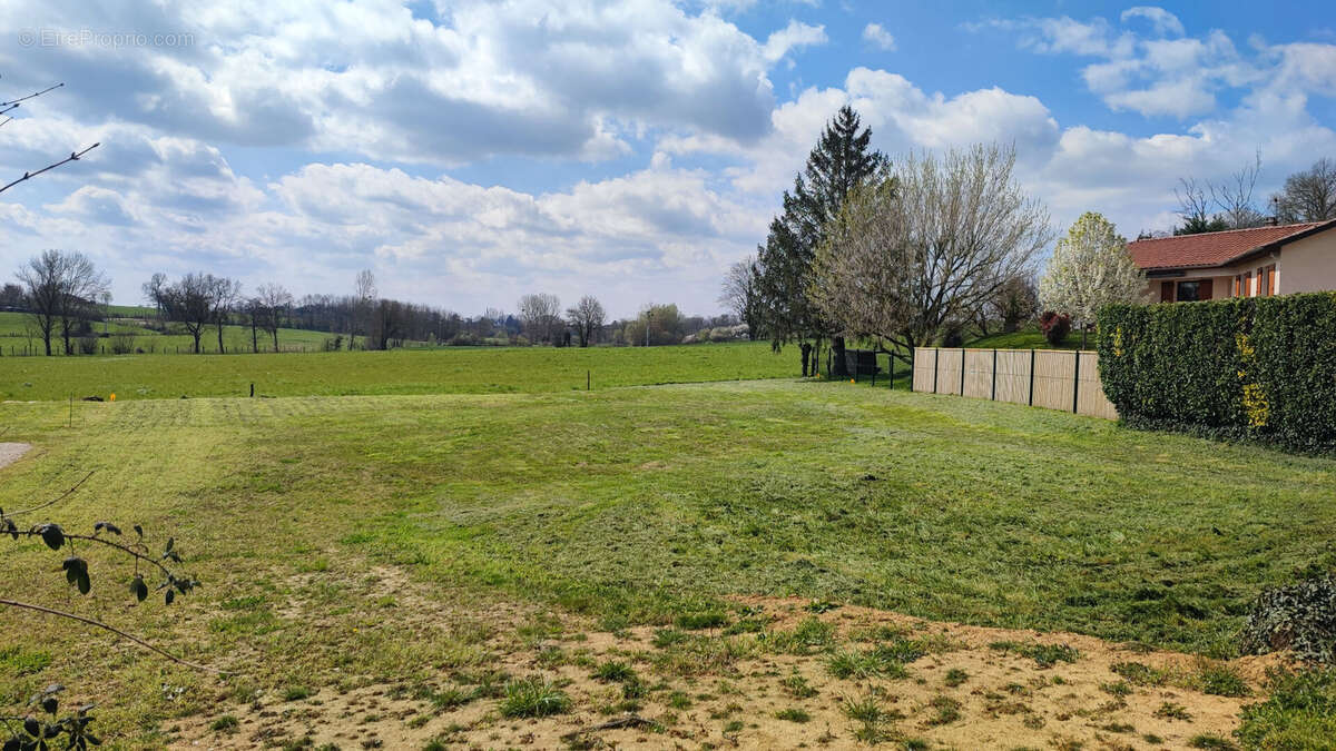 Terrain à CONFRANCON