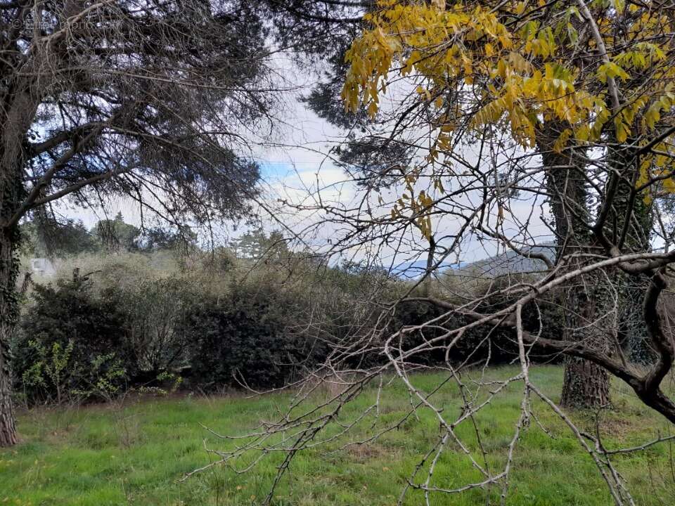 Terrain à LA GARDE-FREINET