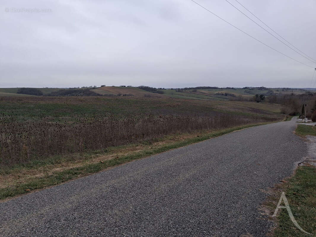 Terrain à LE FAGET