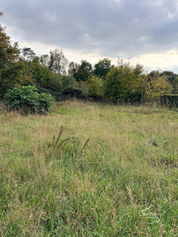 Maison à SAINS-RICHAUMONT