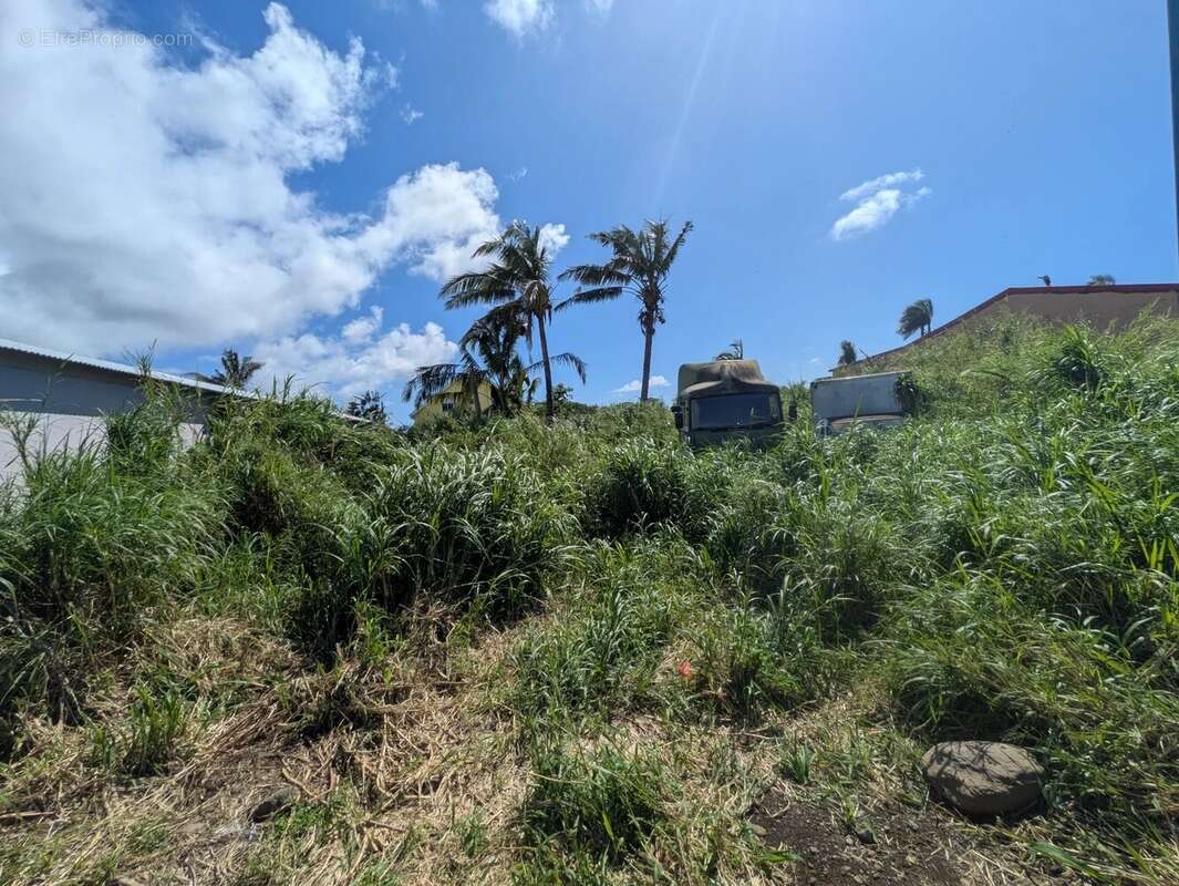 Terrains constructibles à Saint-André, Réunion - photo 2
