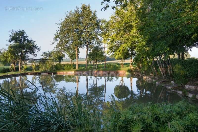 Maison à vendre 9 pièces BRION (86) - photo 13