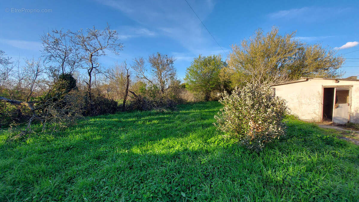 Maison à CORNEBARRIEU