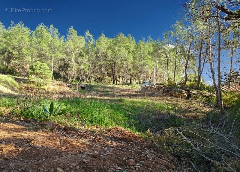 Terrain à POURRIERES