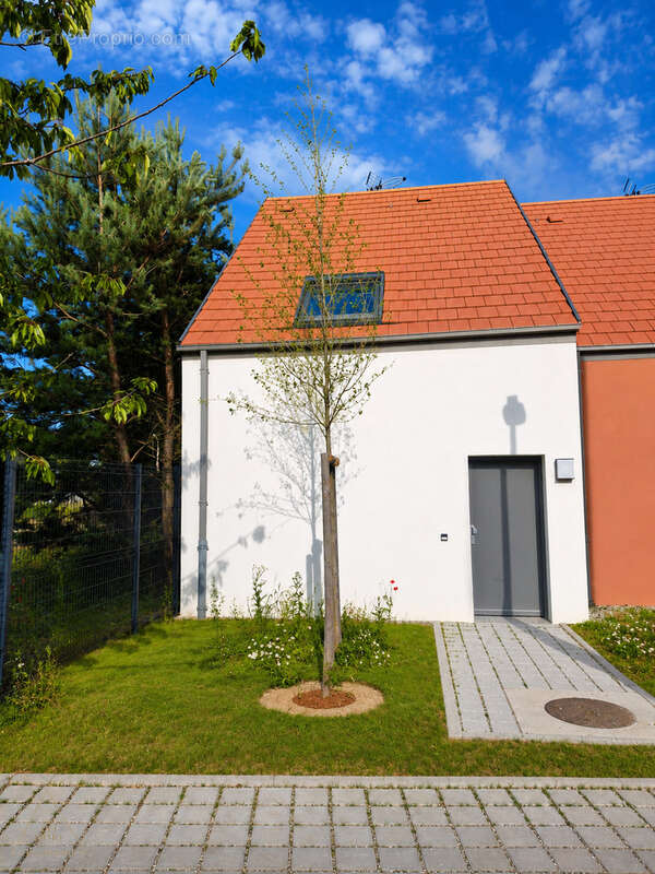 Maison 3 pieces/ 83m2 au sol - photo 5