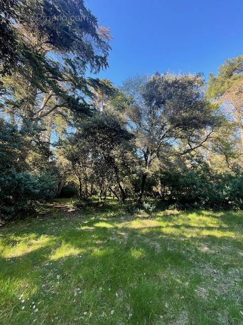 Terrain à NOIRMOUTIER-EN-L&#039;ILE