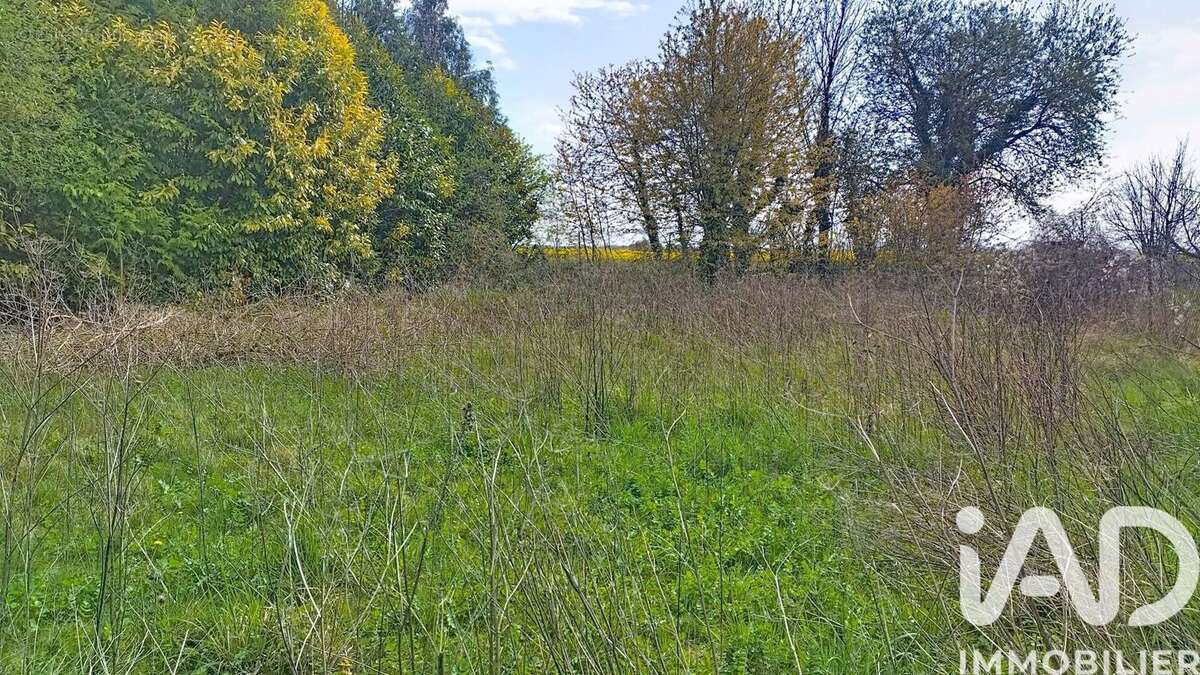 Photo 2 - Terrain à MAIZIERES-LA-GRANDE-PAROISSE