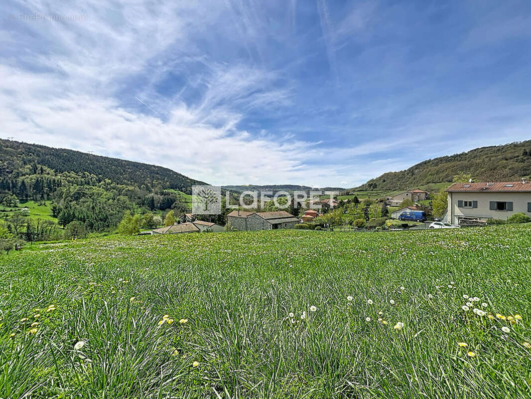 Terrain à POLIGNAC
