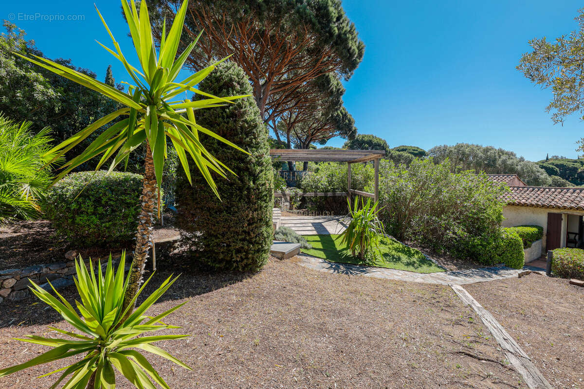 Autre à RAMATUELLE