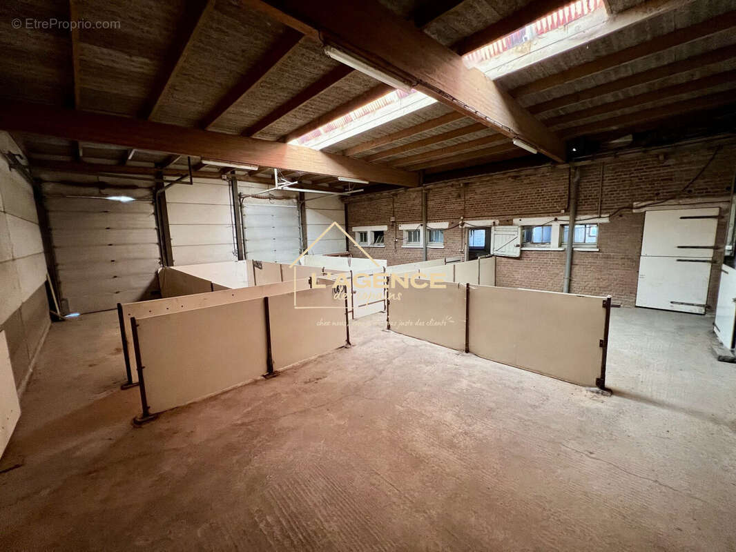Maison 200 m² à Eecke  - photo 9