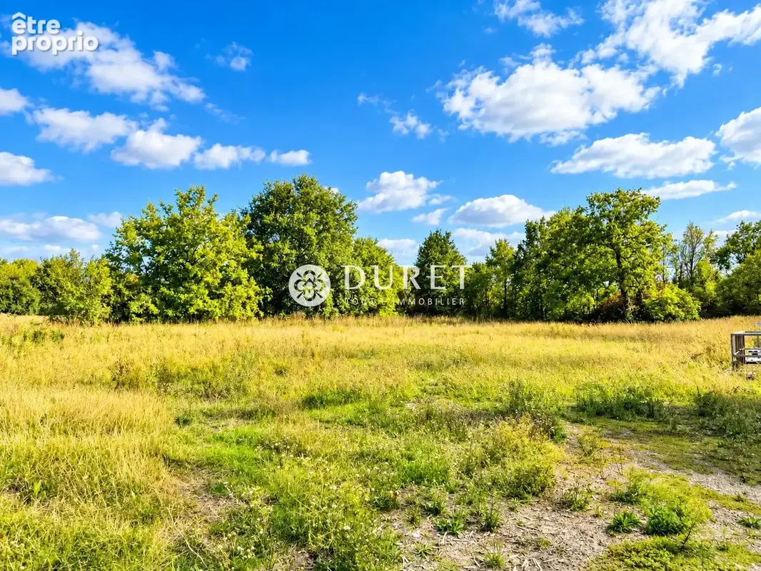 Commerce 6 181 m² à vendre à Falleron (85670) - photo 3