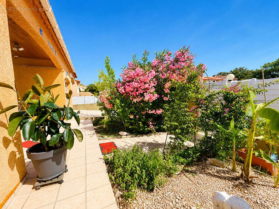 Maison à BROUILLA