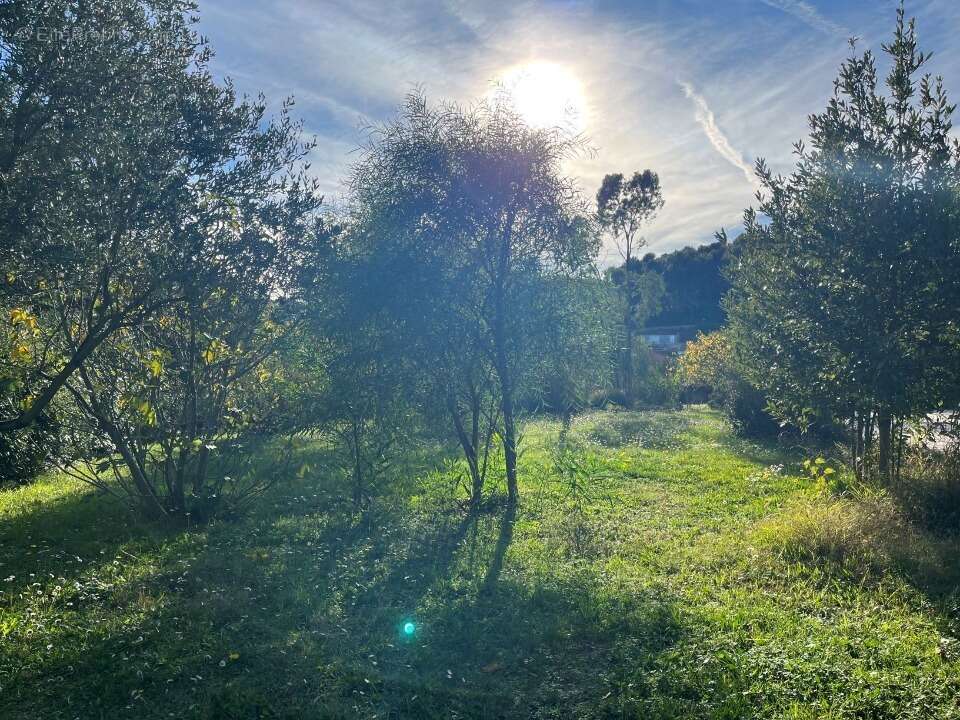Terrain à SOLLIES-PONT